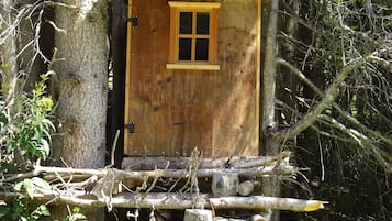 Detalle exterior