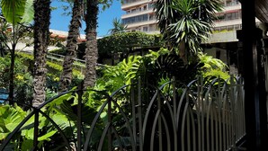 Une cour bordée de grands palmiers, de plantes luxuriantes et verdoyantes, et d’une clôture en métal. Au fond, on aperçoit un immeuble à plusieurs étages doté de balcons et d’auvents rouges.