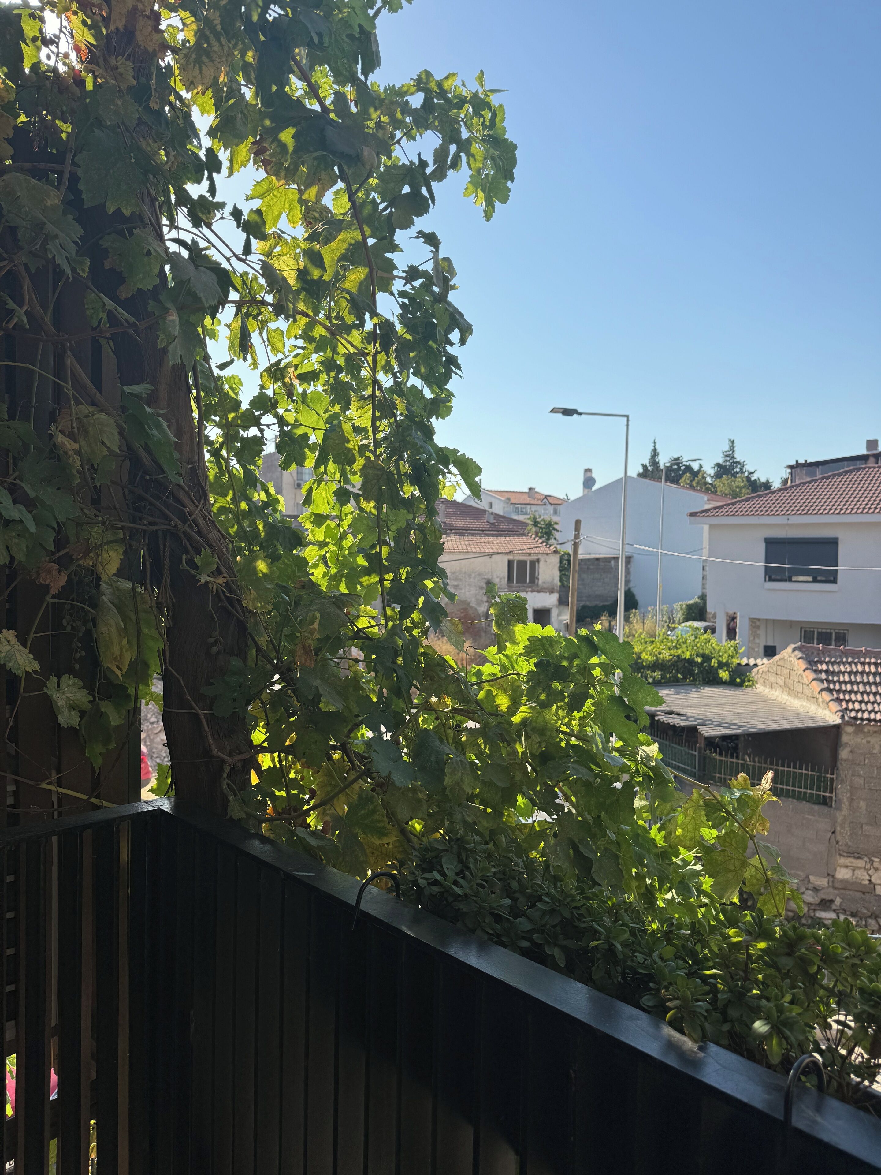 A residential area with a view of houses and a street.