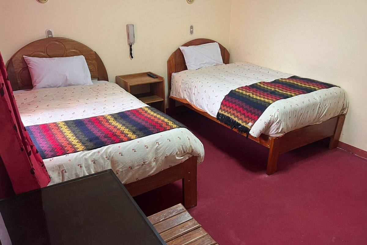 Two single beds with wooden headboards, a small bedside table, and a red carpeted floor.