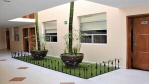 A hallway with two large potted plants, a wooden door with a number, and a window with blinds. - Línea Divisoria (Zapotlan de Juarez)