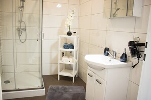 Shower, hair dryer, towels, soap
