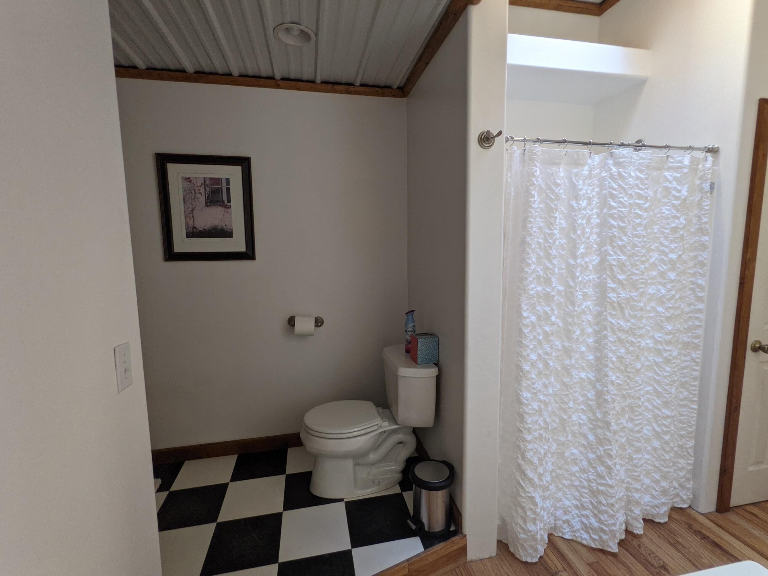 Un baño con inodoro, un cuadro en la pared, un rollo de papel higiénico y una cortina de ducha.