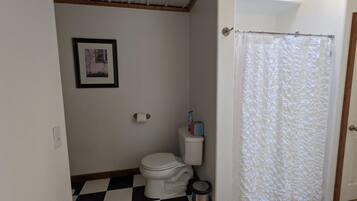 Un baño con inodoro, un cuadro en la pared, un rollo de papel higiénico y una cortina de ducha.