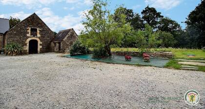 De Poulfos - MERLEAC