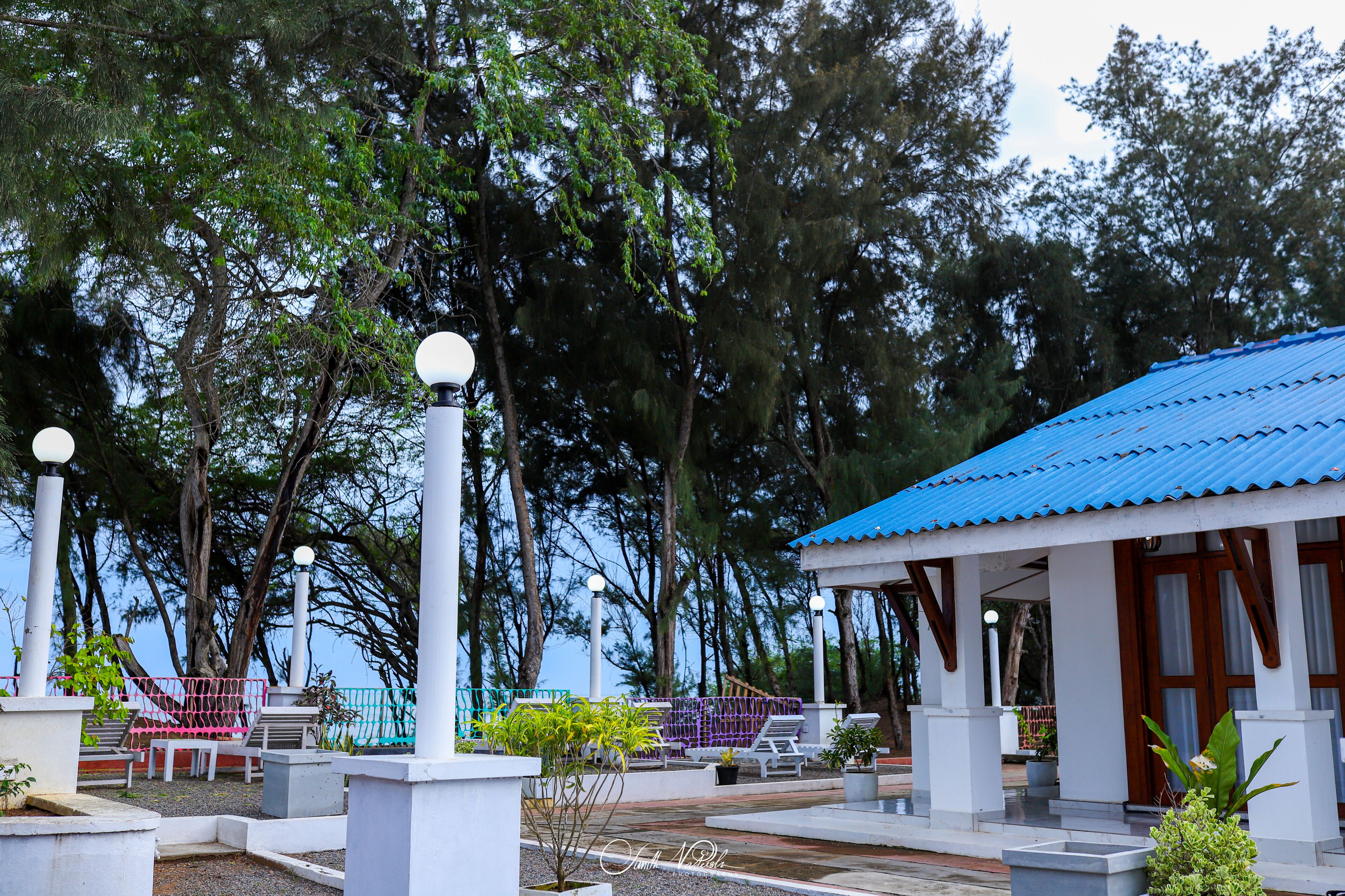 A resort with outdoor seating, a covered pavilion, and a view of the surrounding forest.