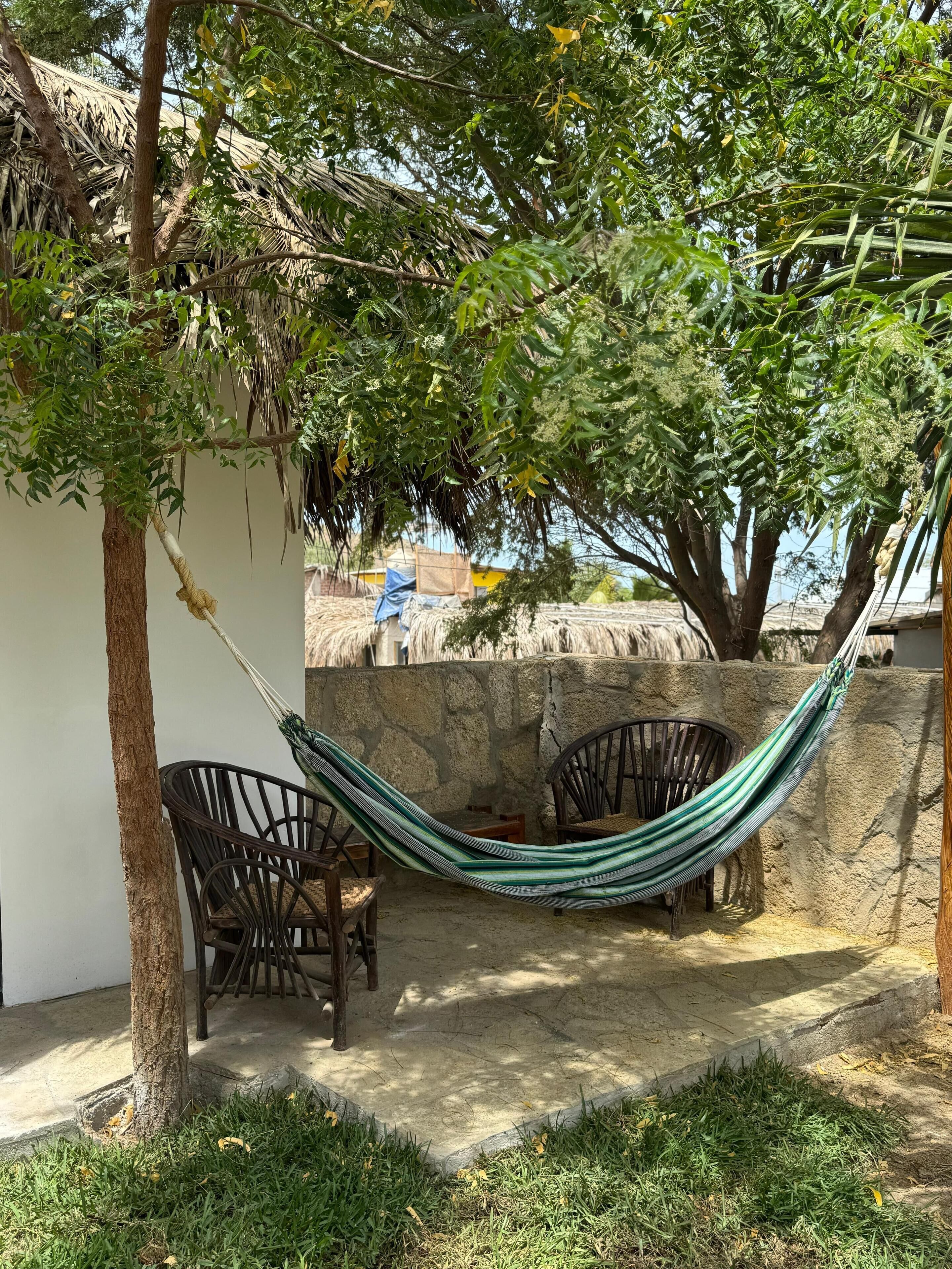 A hammock between two chairs in a shaded outdoor area with a stone wall and a tree providing shade.