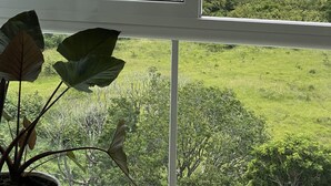 Vista desde una ventana que da a un paisaje costero con una pequeña isla, abundante vegetación y cielo despejado.