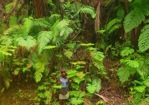 Exterior - Volcano Island paradise  (Tanna Island)