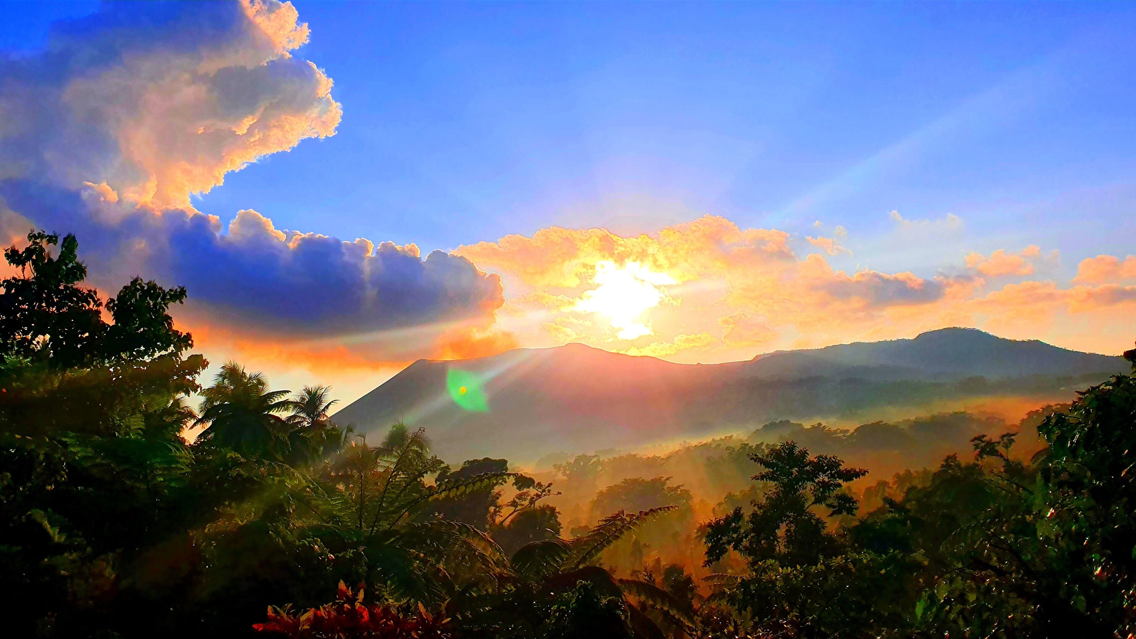 舒適三人房 | 浴室 | 淋浴設備、拖鞋、毛巾