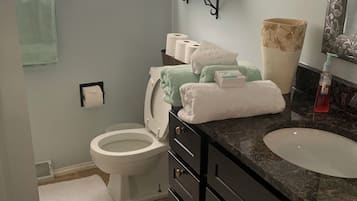 Serviettes fournies, savon, shampoing, papier toilette