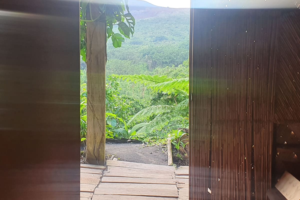 A wooden pathway leading to a lush green landscape with dense vegetation and a mountain in the background.