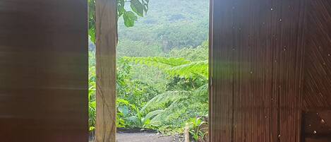 Comfort Twin kamer | Terras