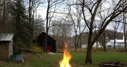 WiFi & Pets - Alice Rocks - Cave Run Lake & RRG KY