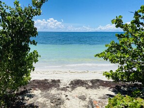 A beach with clear blue water, white sand, and green foliage.