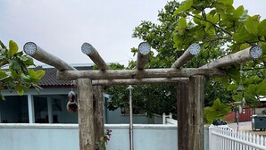 Een houten pergola met een tuinslang en een hangende vogelvoeder.