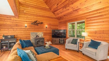 Smart TV, fireplace, DVD player, books