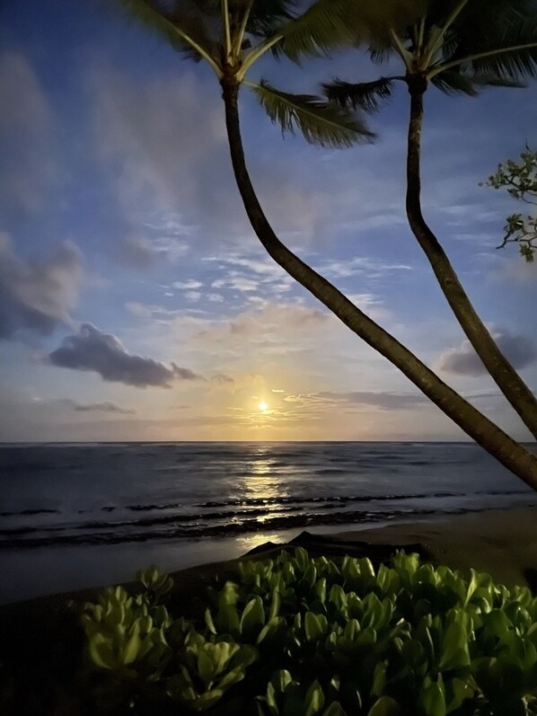 A sunset over the ocean with palm trees and a beach in the foreground.