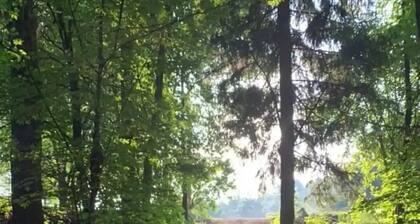 On the Chippewa River! Direct access to the Old Abe Bike and snowmobile trail.