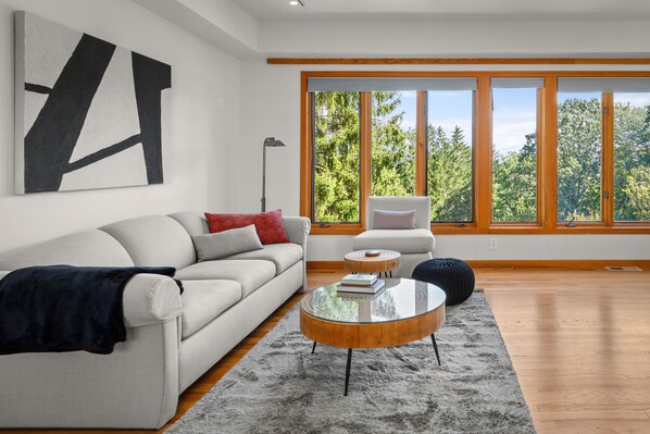 Smart TV, chimenea y libros