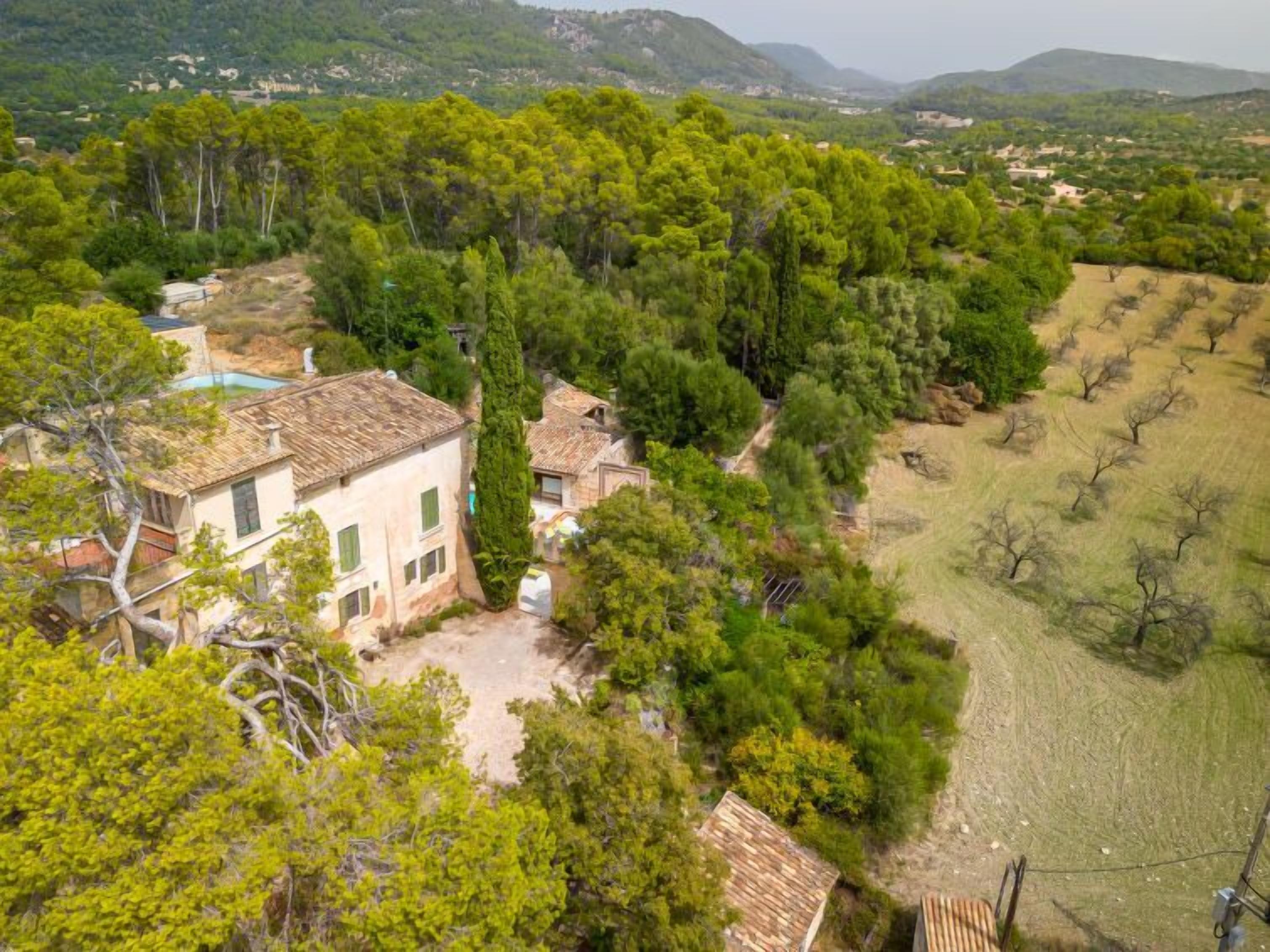 A rural property with a large house surrounded by dense trees and a vineyard.