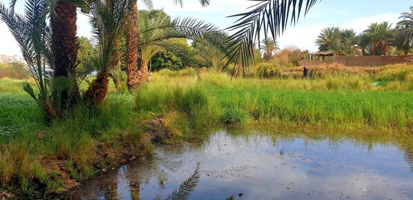 Overnattingsstedets uteområder