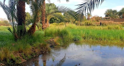 An idyllic camping lodge on the banks of the Nile. Amidst mango groves.