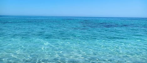 Toallas de playa