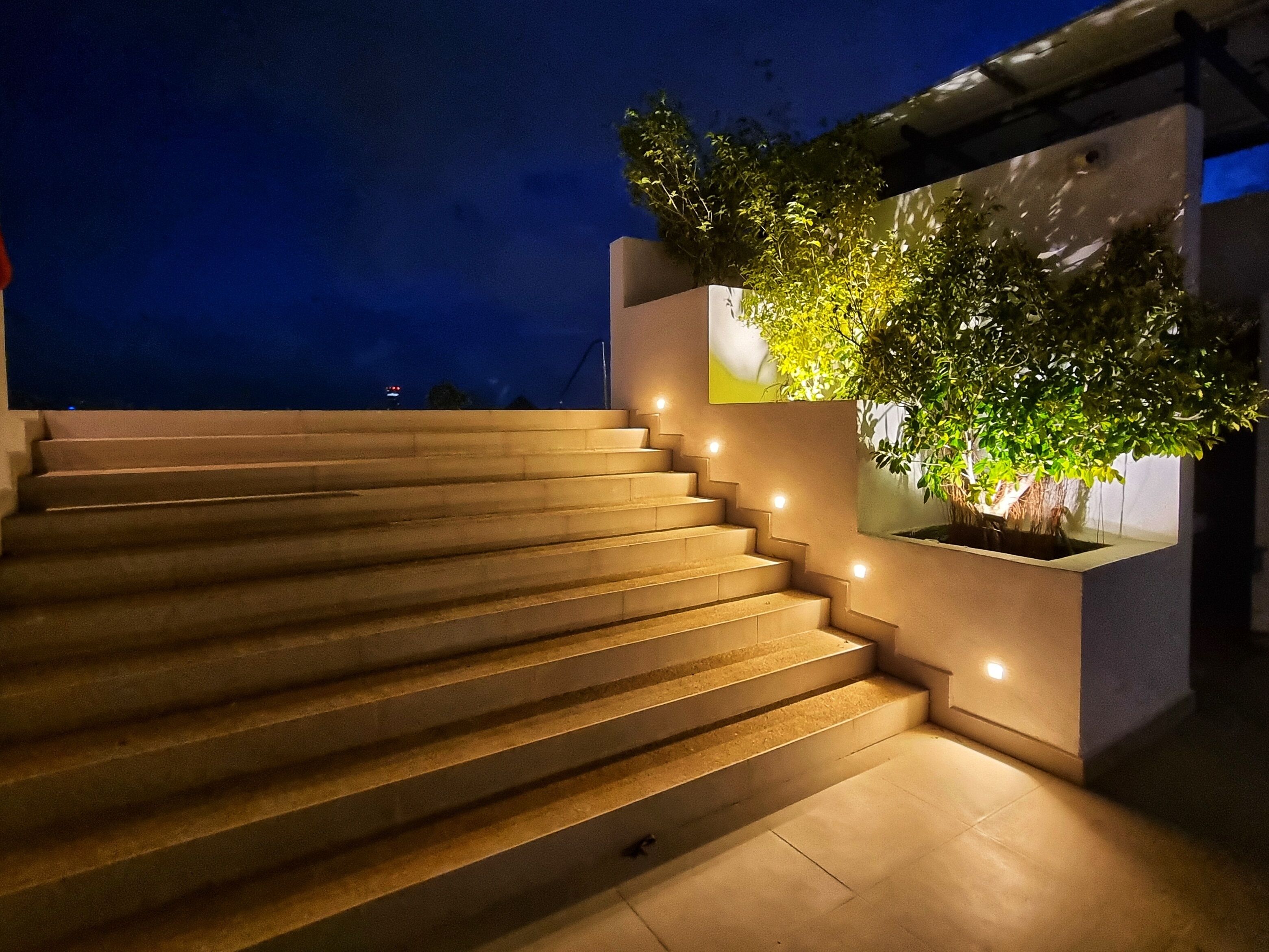 A set of outdoor stairs leading up to a building with a potted tree on the right.
