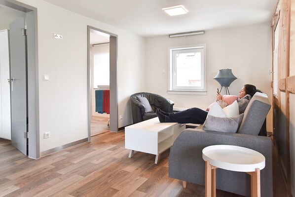 Smart TV, fireplace - Ferienwohnung Spreebogen (Sohland an der Spree)