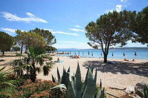 بالقرب من الشاطئ