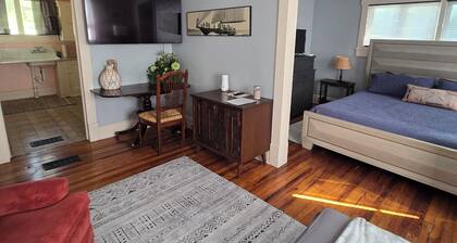 Tree House Apartment in Dixieland, cozy 1930's garage apartment, great location!