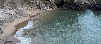 Stylish Rotherslade/Langland beach view apartment - 1 min from the beach 