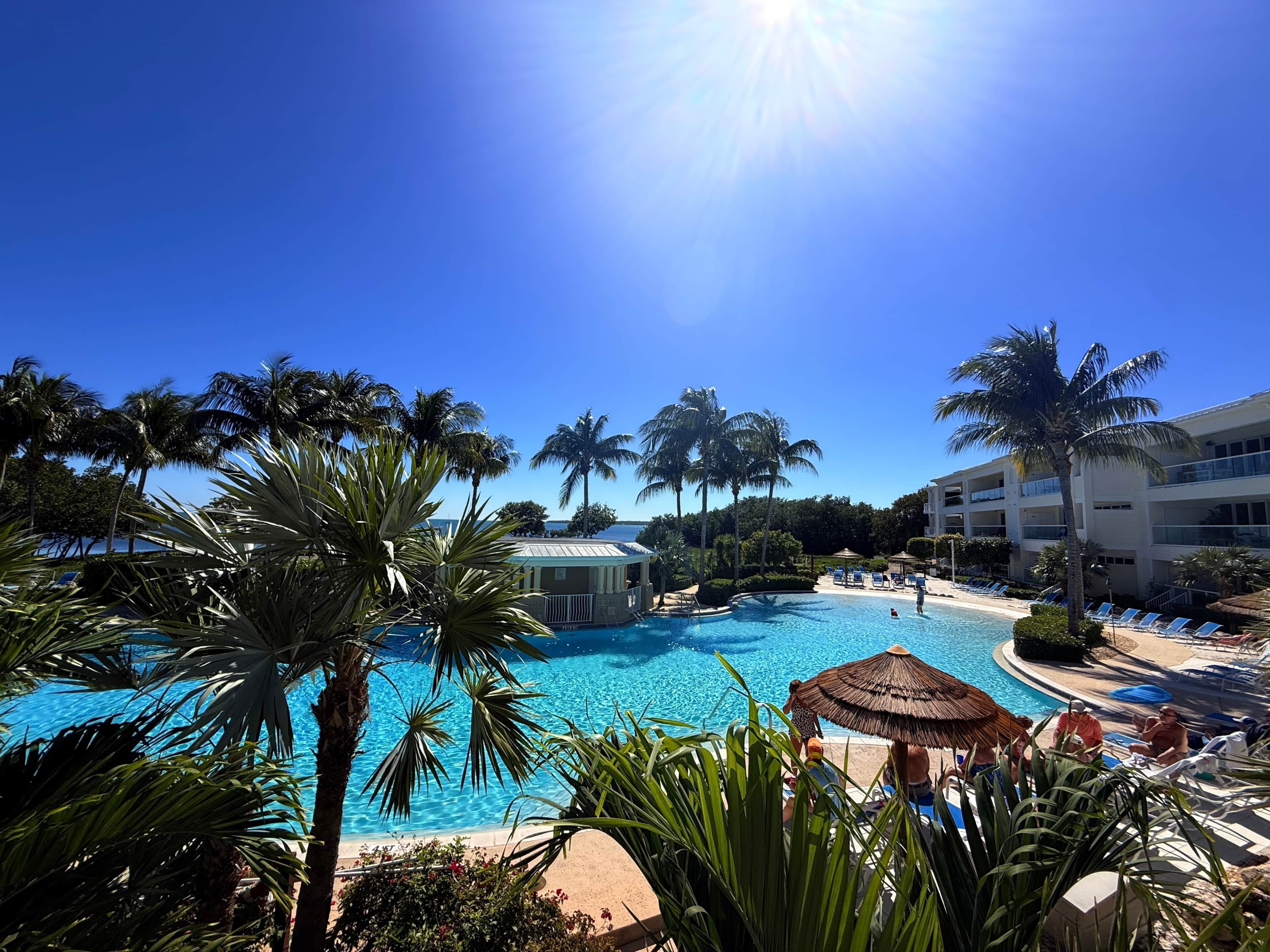 A resort pool area with palm trees, lounge chairs, and a clear blue sky.