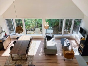 Smart TV, fireplace, books