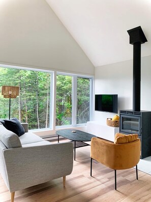 Smart TV, fireplace, books