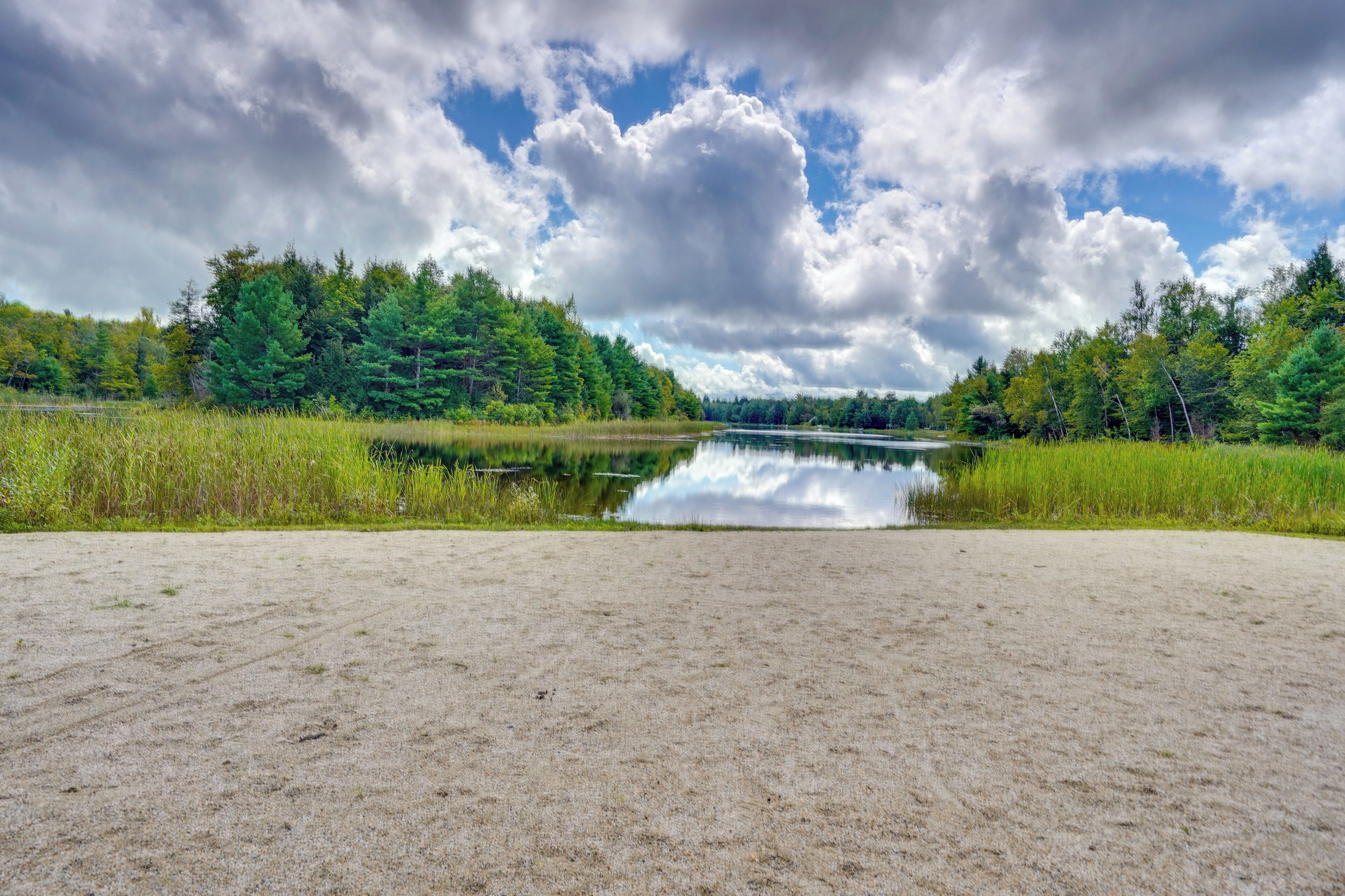 A sandy beach with a calm lake and dense forest in the background.