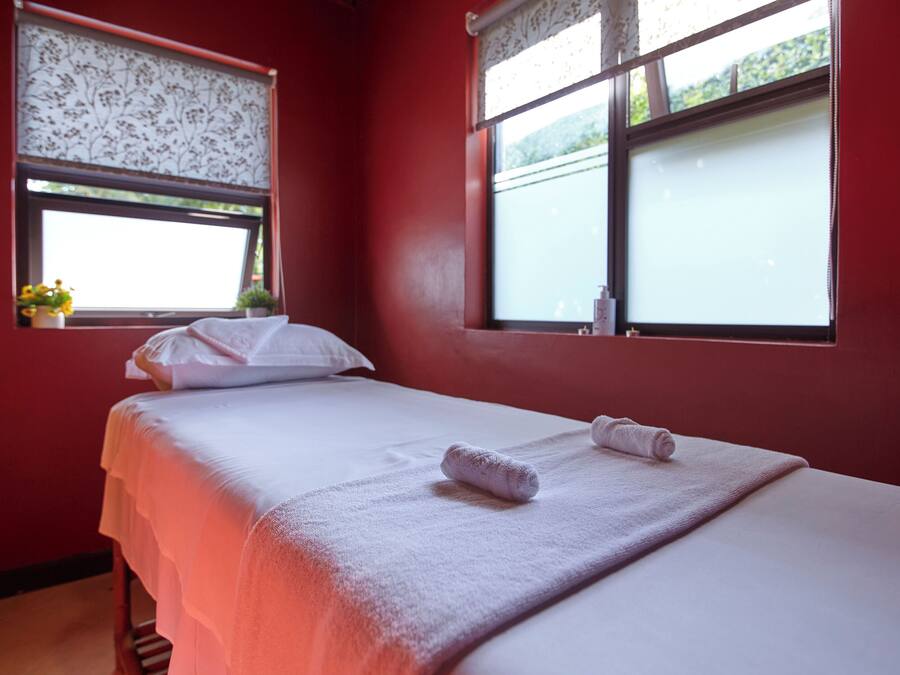 Een hotelkamer met een bed, twee ramen en uitzicht op groen.
