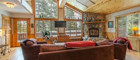 TV connectée, cheminée, livres