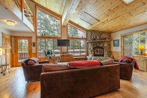 Smart TV, fireplace, books