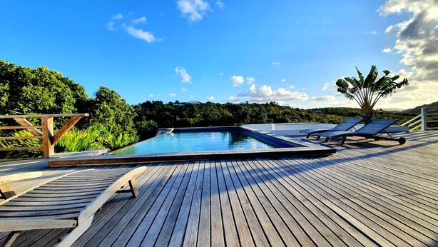 Una terraza de madera con piscina, sillas de descanso y una planta tropical.