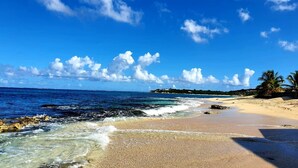 Una playa con agua azul cristalina, orilla de arena y palmeras.