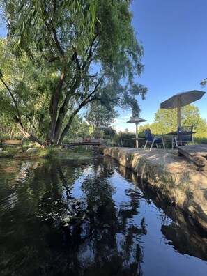 Property grounds - Cabañas Románticas en el Manzano Histórico (Manzano Histórico)