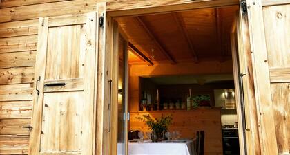 Beau Chalet Familiale Avec une vue Imprenable À 500m du Télécabine