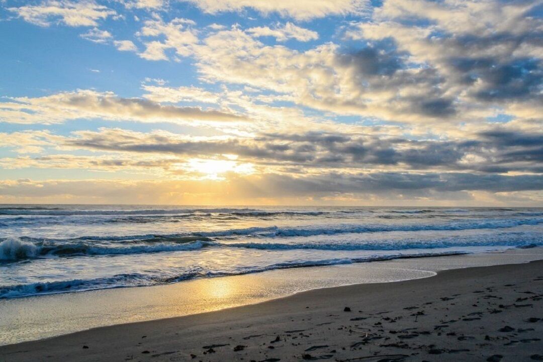 Mulit-Level Oceanview House Near Pier- 4br, Pool, Easy Beach Access, Sleeps12