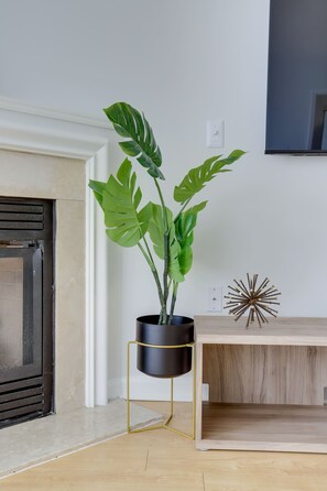 Deluxe Apartment | Living area | 50-inch plasma TV with cable channels - Fantastic Condo Ballston with gym (Arlington)