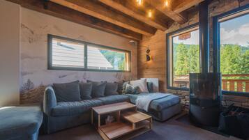 Télévision, cheminée, chaîne hi-fi