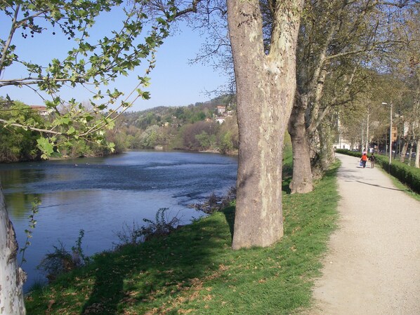 Un sendero a orillas del río, con árboles y vistas al agua.