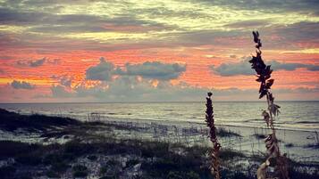 A beach landscape with a sunset, featuring a fence and vegetation.