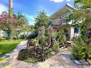 A house with a stone pathway leading to the entrance, surrounded by lush greenery and flowering plants. - Whole Villa for rental, max 20 people (Cabarete)